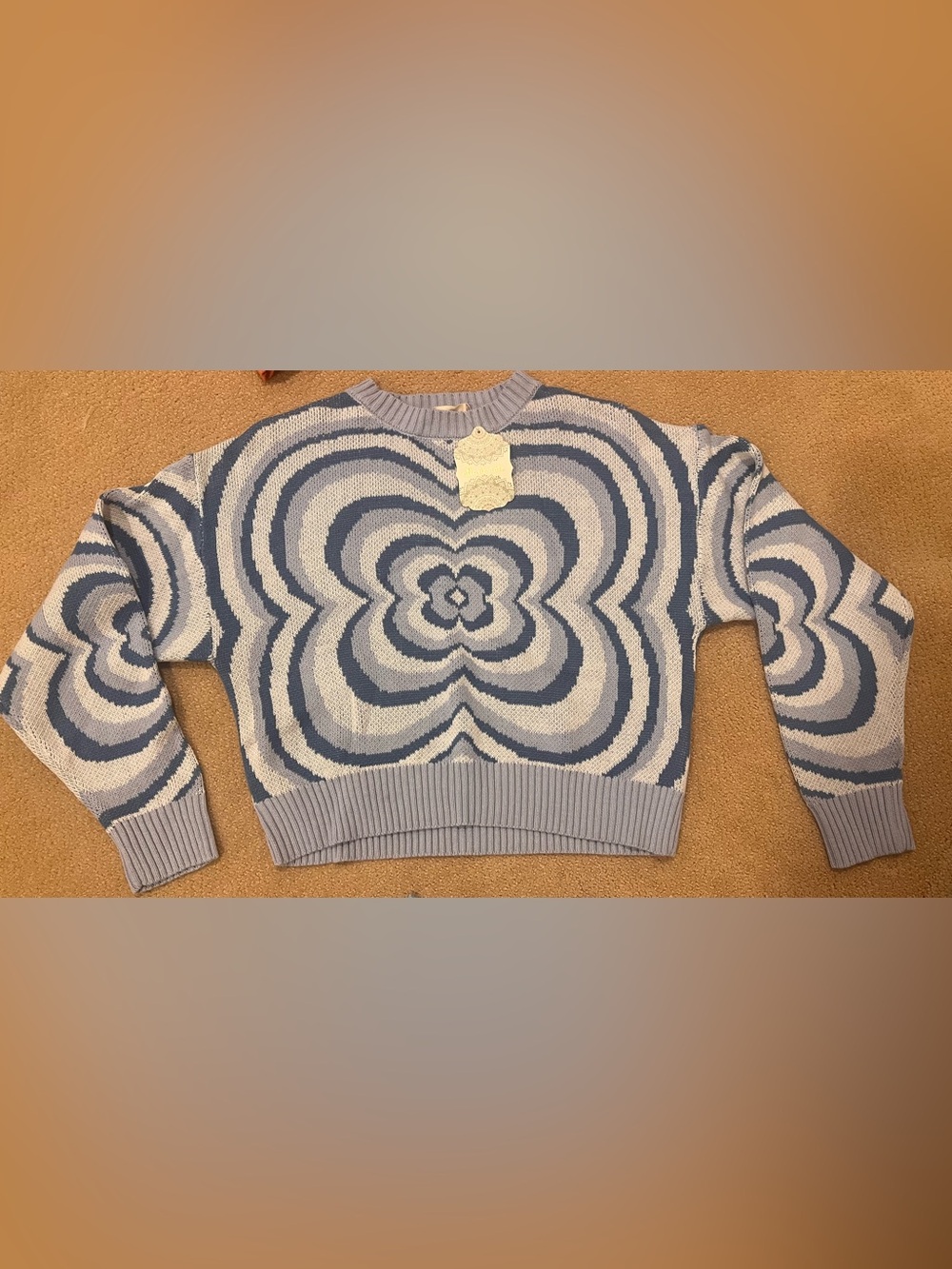 Altar'd State Blue & Cream Retro Floral Knit Crew Sweater
